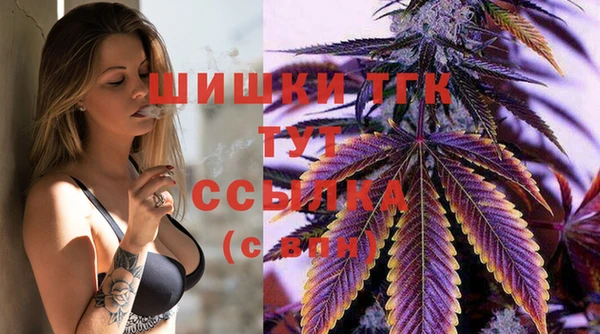 ПСИЛОЦИБИНОВЫЕ ГРИБЫ Михайловка