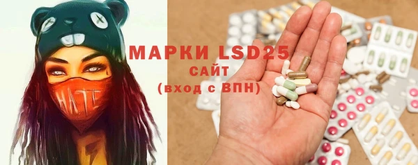 ПСИЛОЦИБИНОВЫЕ ГРИБЫ Михайловка