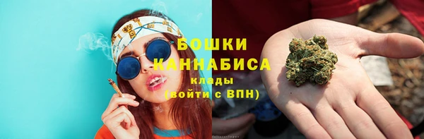 ПСИЛОЦИБИНОВЫЕ ГРИБЫ Михайловка
