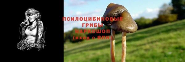 ПСИЛОЦИБИНОВЫЕ ГРИБЫ Михайловка