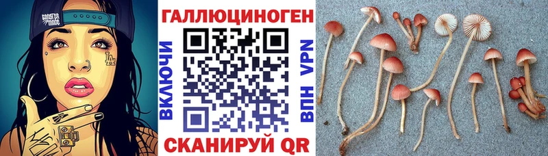 Купить закладки  Среднеколымск  Галлюциногенные грибы мухоморы 